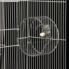 Acrylic Pet Running Wheel Hamster Fitness Running